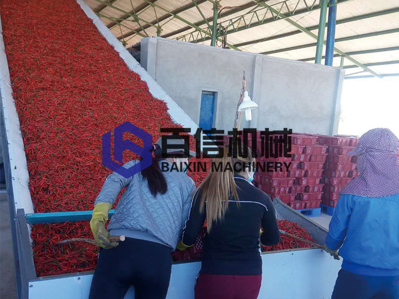 越南辣椒烘干機 越南辣椒烘干機